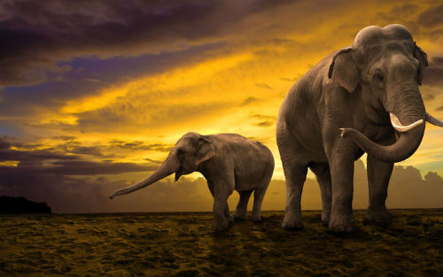 1484032735824906rLjU.jpg 201608041525587338.jpg