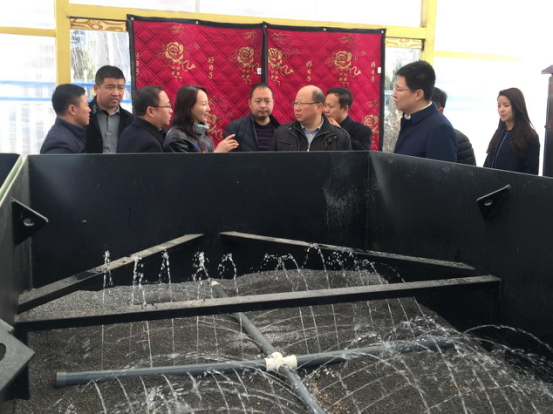 1512699725423399R53S.png ͼƬ01.png