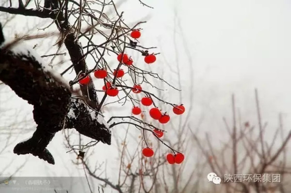 1639538887373363XtIX.jpg 640.webp (1)_¸±±¾.jpg