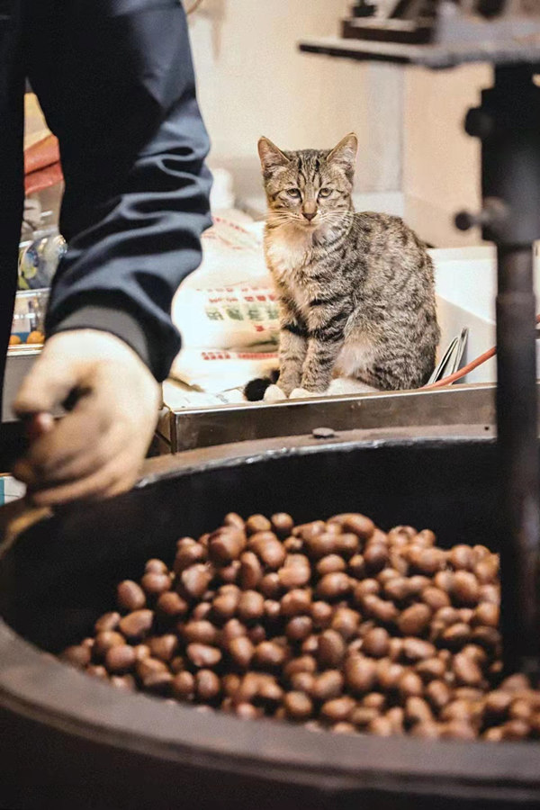 16395388975089128u6U.jpg ¶¬Ö®Î¶2_¸±±¾.jpg