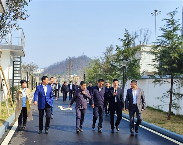 16786747999937613e8e.jpg 321230FE-8632-45AE-923E-D02146F7098B_L0_001.jpg