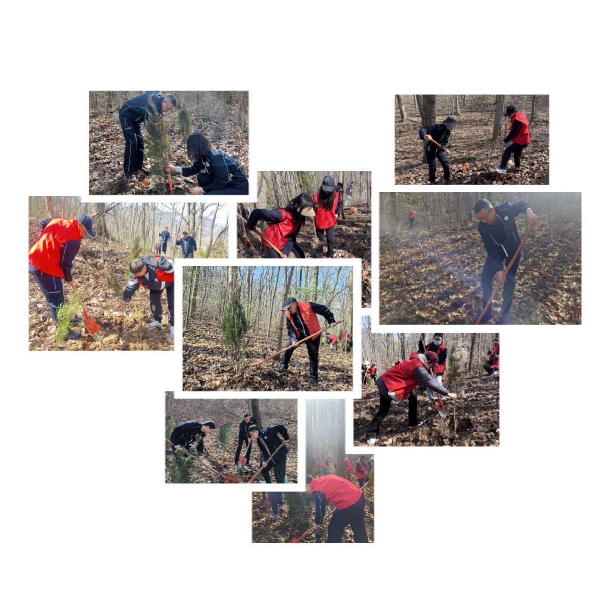 1710211027147684xWBq.jpg Ö²Ê÷Ô˶¯ÏÖ³¡.jpg