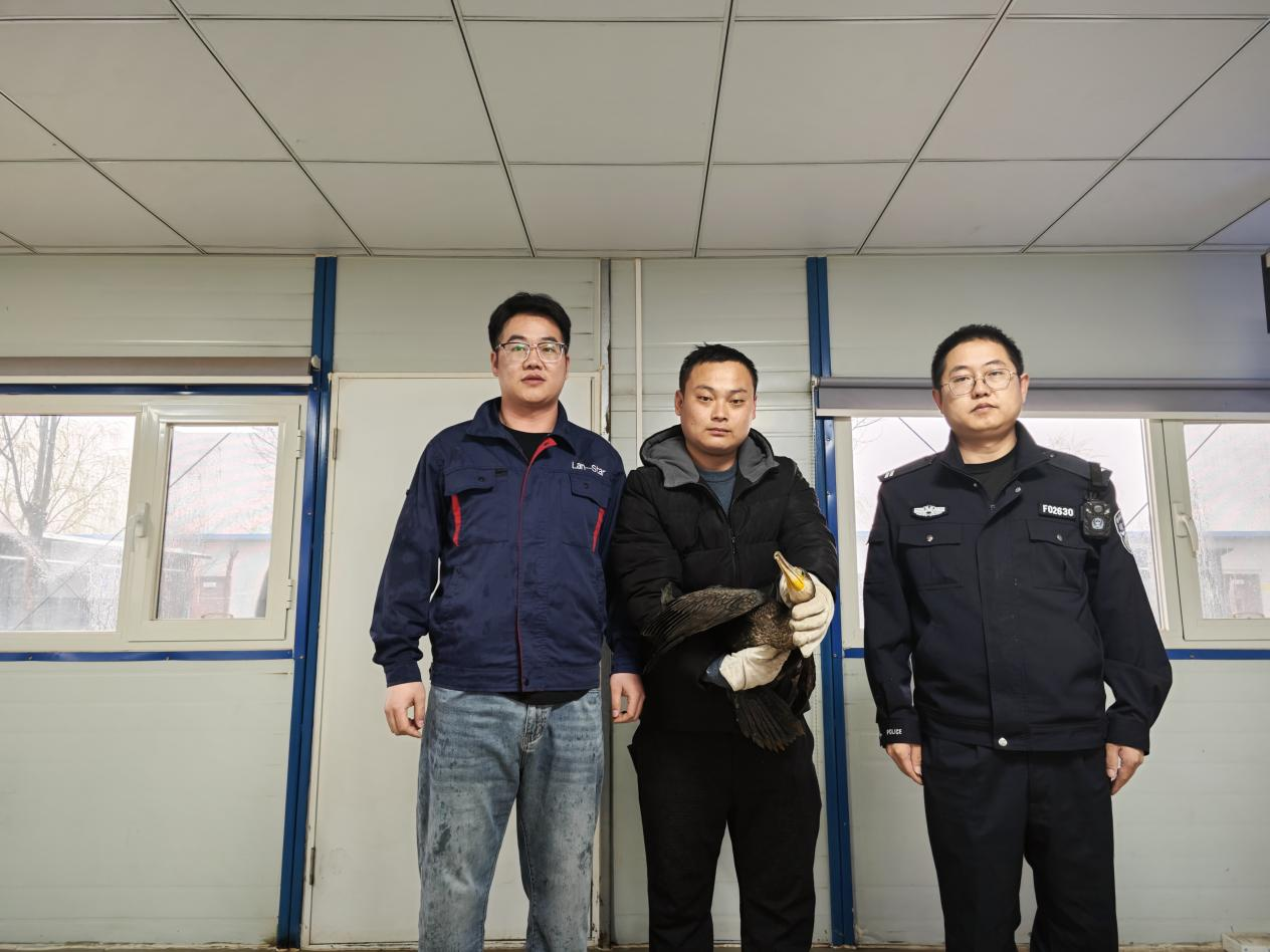 ��������ƽ��ֳ���Ƭ (1).png