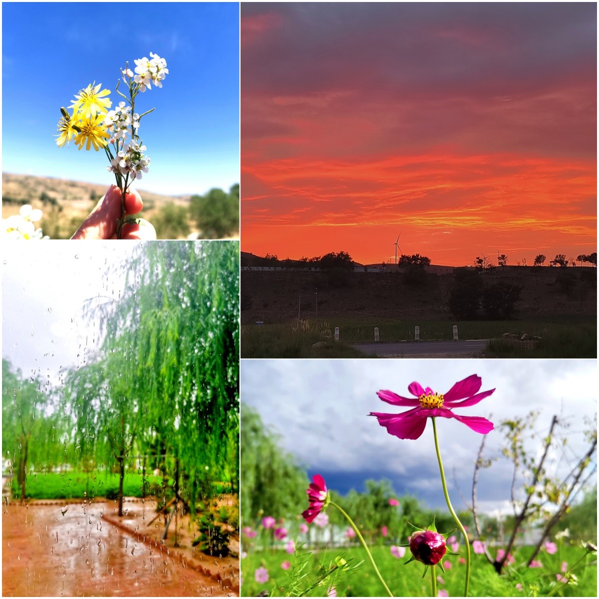 1723511239330256Je3C.jpg ÎÒÓëÕâ×ùɽµÄ¹ÊÊÂ.jpg